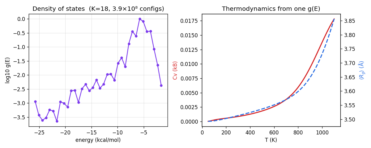 Two panels. Left: log10 of the density of states versus energy for the K=18 self-avoiding chain, a smooth curve spanning about 3.7 decades. Right: heat capacity and average radius of gyration versus temperature, the chain modestly more compact at low temperature.