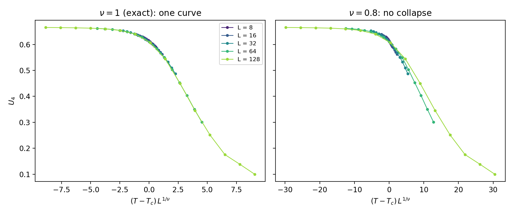 Two panels of Binder cumulant data plotted against the scaling variable: with the exact nu equals one, all five lattice sizes collapse onto a single curve; with nu equals 0.8 the curves visibly fan apart.