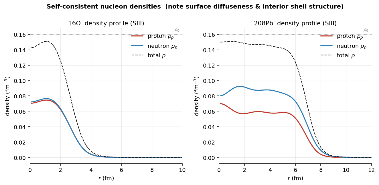 Neutron and proton point densities
